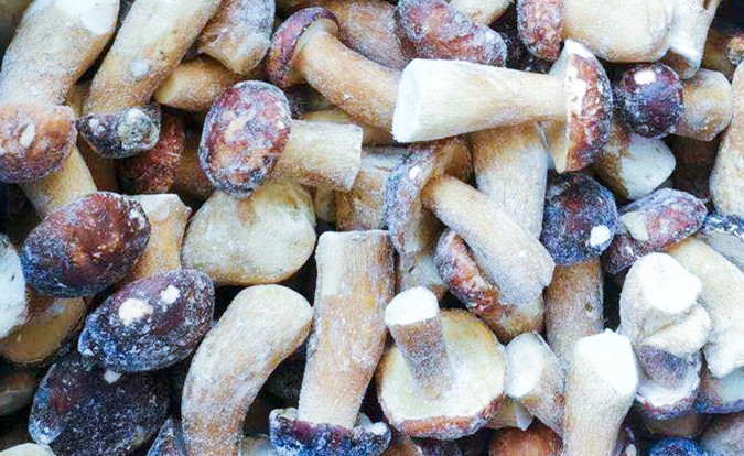 Bevroren paddenstoelen IQF BOLETUS EDULIS Graad A 24 maanden houdbaarheid ISO HACCP BRC KOSHER HALAL Gecertificeerd 10 ton MOQ 2