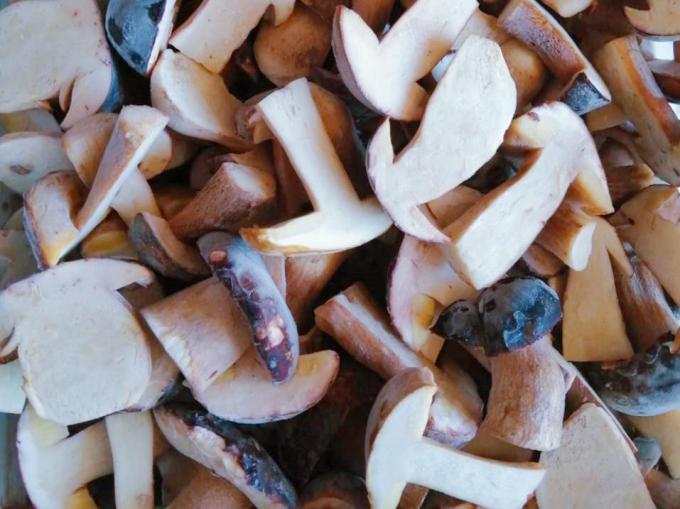 Bevroren paddenstoelen IQF BOLETUS EDULIS Graad A 24 maanden houdbaarheid ISO HACCP BRC KOSHER HALAL Gecertificeerd 10 ton MOQ 1