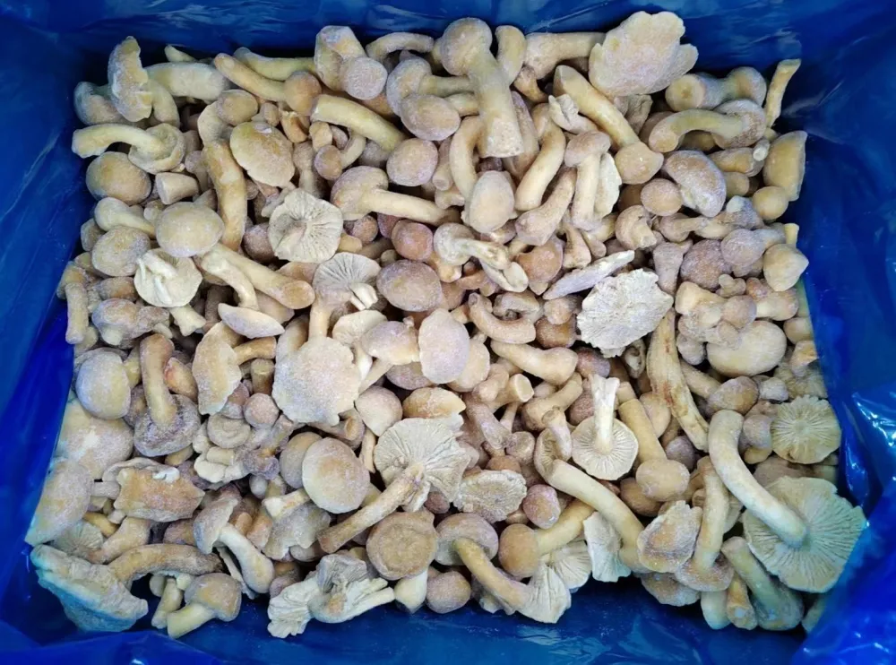 Ervaar het gemak en de smaak van diepgevroren champignons van top leveranciers 1