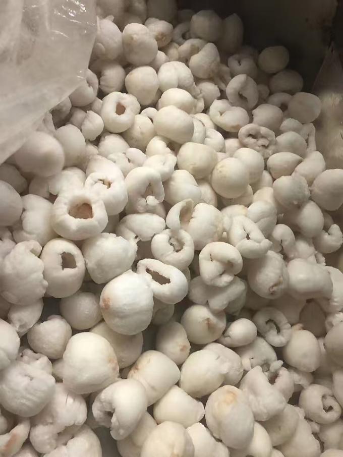 Bevroren Gehele geschilde lychee in bulk kartonverpakking IQF Zoete smaak van lychee Fruit met mango Vari&euml;teit van bewaarde vruchten 3