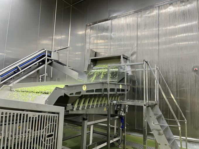 Hoogwaardige, vers diepgevroren frambozen, met de hand geplukt voor een zoete smaak in sappen, desserts en milkshakes. 10