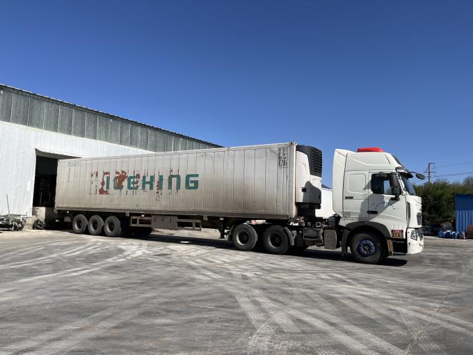 Hoogwaardige, vers diepgevroren frambozen, met de hand geplukt voor een zoete smaak in sappen, desserts en milkshakes. 13