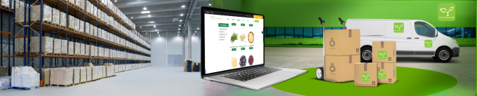 Beste Hoogwaardige Diepgevroren Oesterzwammen Groothandel Nieuwe Oogst IQF Oesterzwammen Gesneden 8