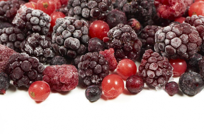 Vers IQF Bevroren gemengde bessen Blackberry aardbei frambozen bosbessen in Blackberry aardbei bessen stijl 1