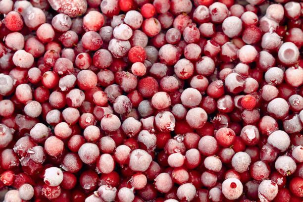Warm verkopen Nieuwe oogst Iqf Bevroren Rood Lingonberry in bevroren Fruit Bulk verpakking 2