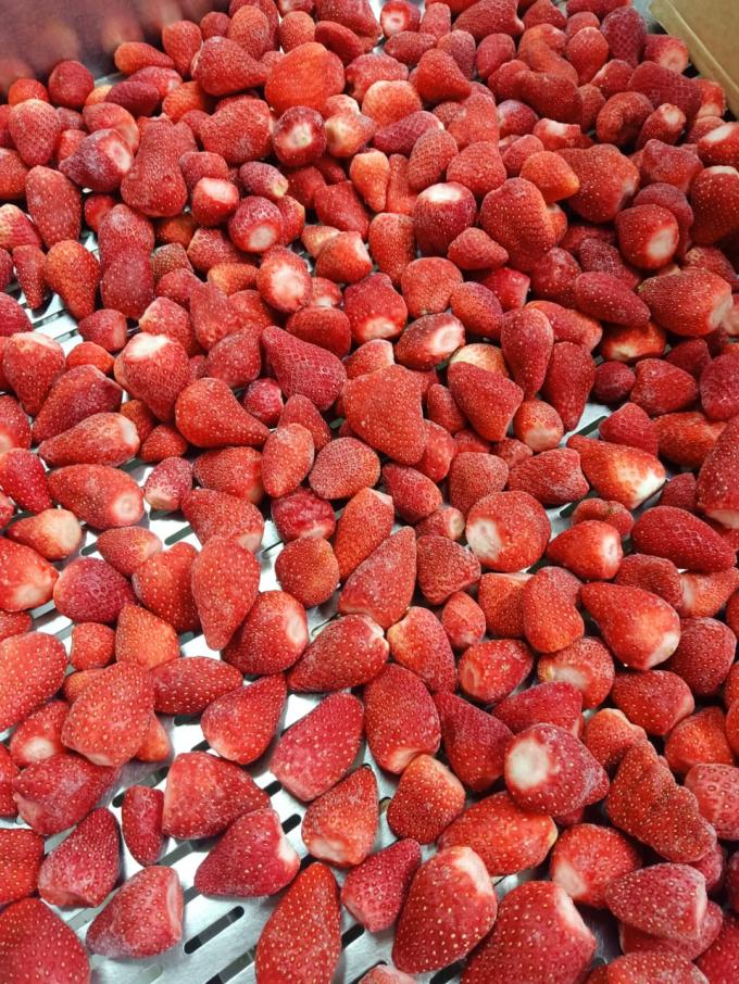 Premium kwaliteit IQF (Individueel Snel Ingevroren) Aardbeien Fruit Diepvriesfruit 0