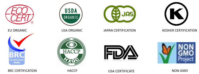 Gecertificeerde Kwaliteit Professionele Productie IQF Diepgevroren Rode Paprika Reepjes 7