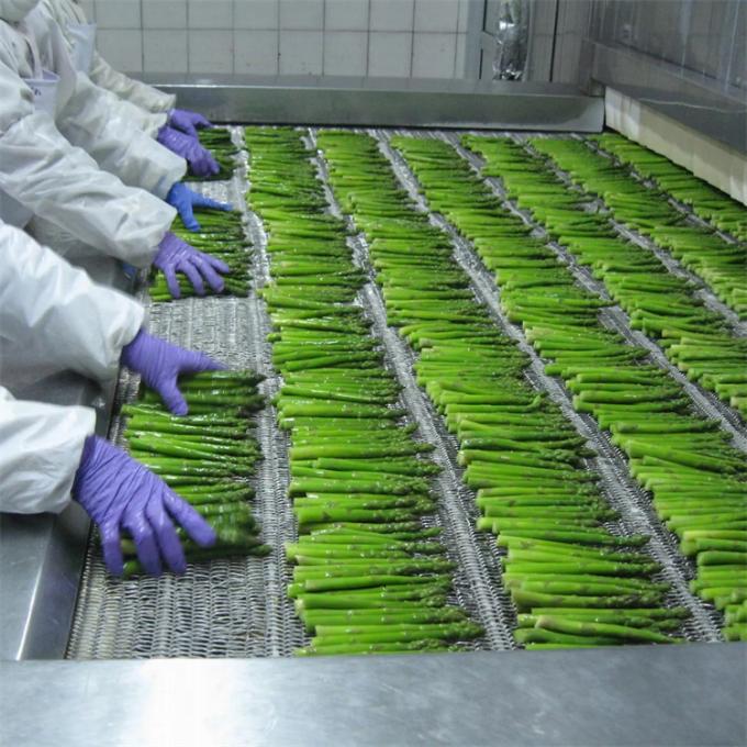Fabrieksgecertificeerde kwaliteitsproductie IQF Bevroren asperges 1