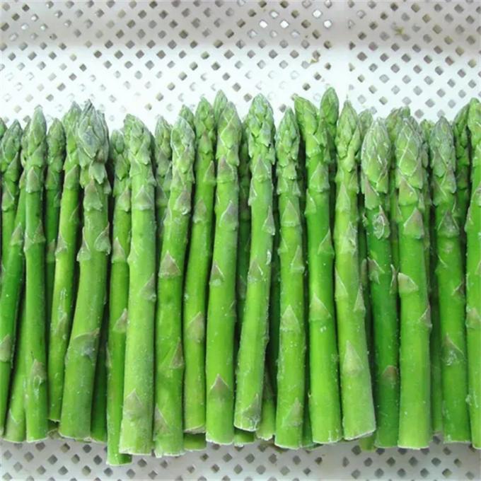 Fabrieksgecertificeerde kwaliteitsproductie IQF Bevroren asperges 3