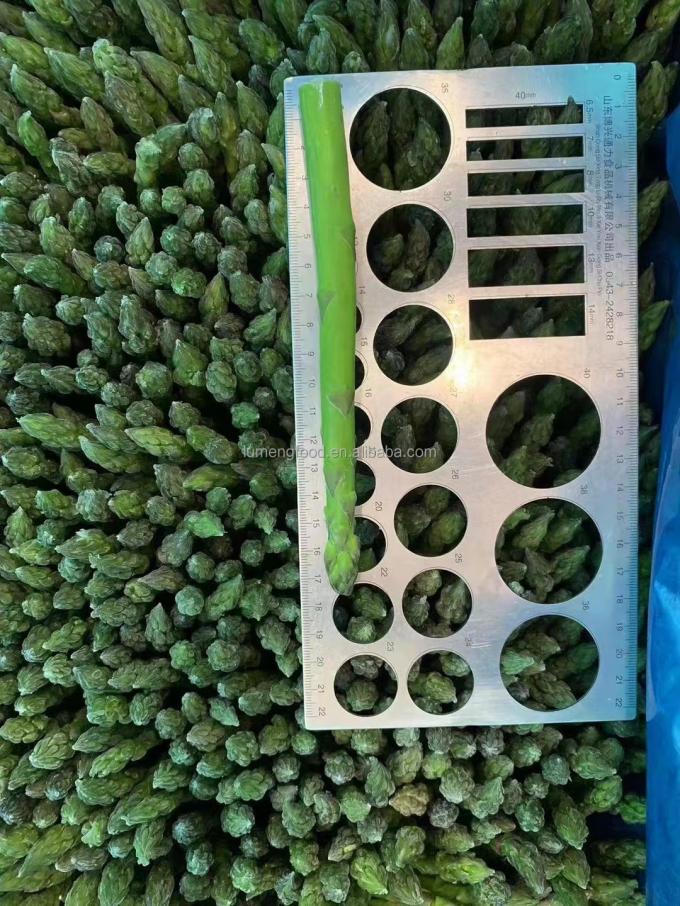 Fabrieksgecertificeerde kwaliteitsproductie IQF Bevroren asperges 6