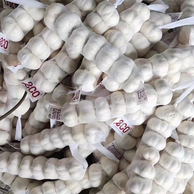 Vers Chinees 4P Zuivere witte knoflook Goedkope prijs Vers groenten in de groothandel 4