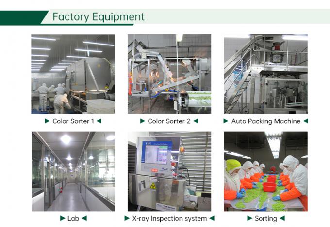 IQF Bevroren gemengde groenten Vers gemengde groenten 6