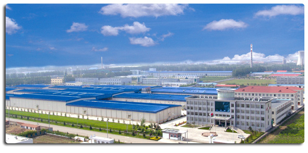 Hoogwaardige Diepgevroren Kipfilet Zonder Bot, Klaar Voor Export in Bulkverpakking 4