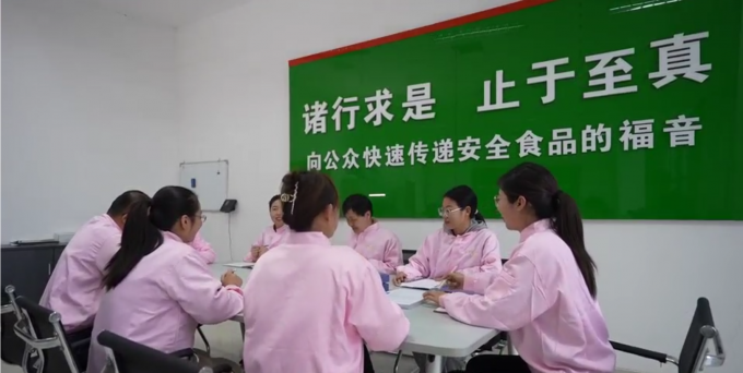 Hoogwaardige Diepgevroren Kipfilet Zonder Bot, Klaar Voor Export in Bulkverpakking 7