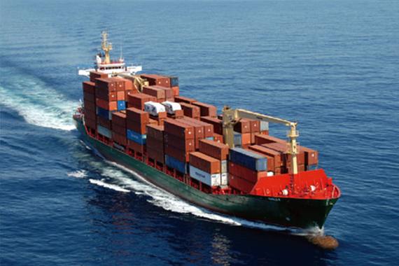 Hoogwaardige Diepgevroren Kipfilet Zonder Bot, Klaar Voor Export in Bulkverpakking 11